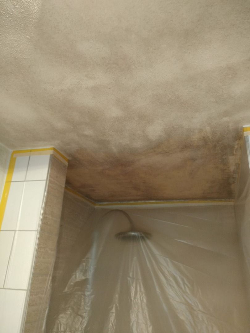 Best Anti-Mould Paint for Walls? ERSTOMOULD Stops Mould & Fungus Growth for Years!62853066748803113