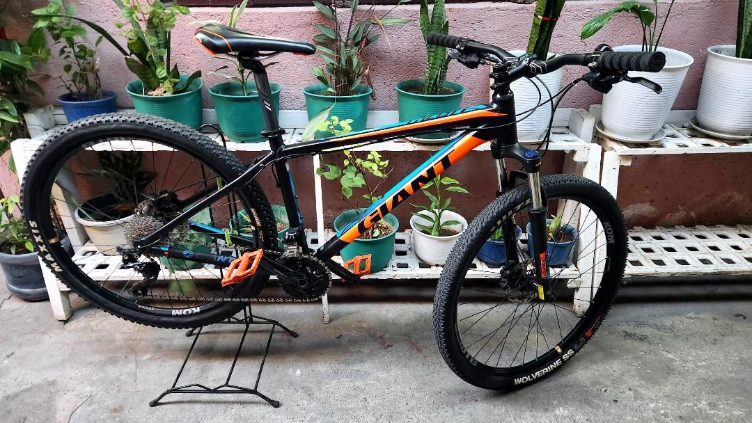 Giant talon 2025 2018