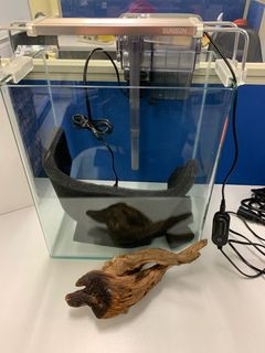 （分類：）位於 。 由 ctszzz 提交（商品編號 1229008023，圖片 1）。簡介： 。