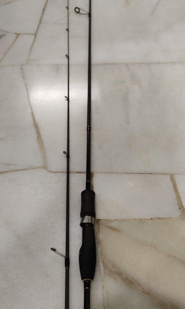 Anyfish fishing rod( light action), Sports Equipment, Fishing on Carousell