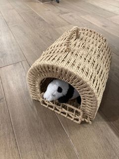 (Category: ) located in . Submitted by inglenook (Listing ID 1228952809, Image 1). Description: .
