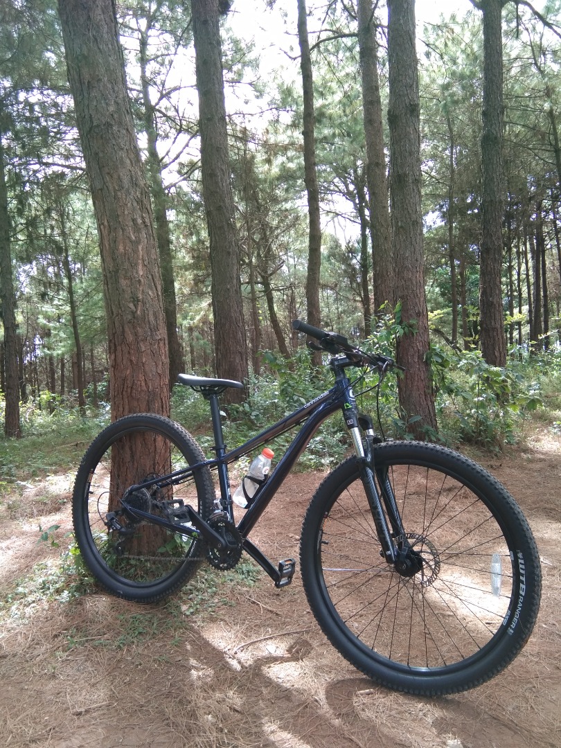 2020 cannondale hotsell trail 7