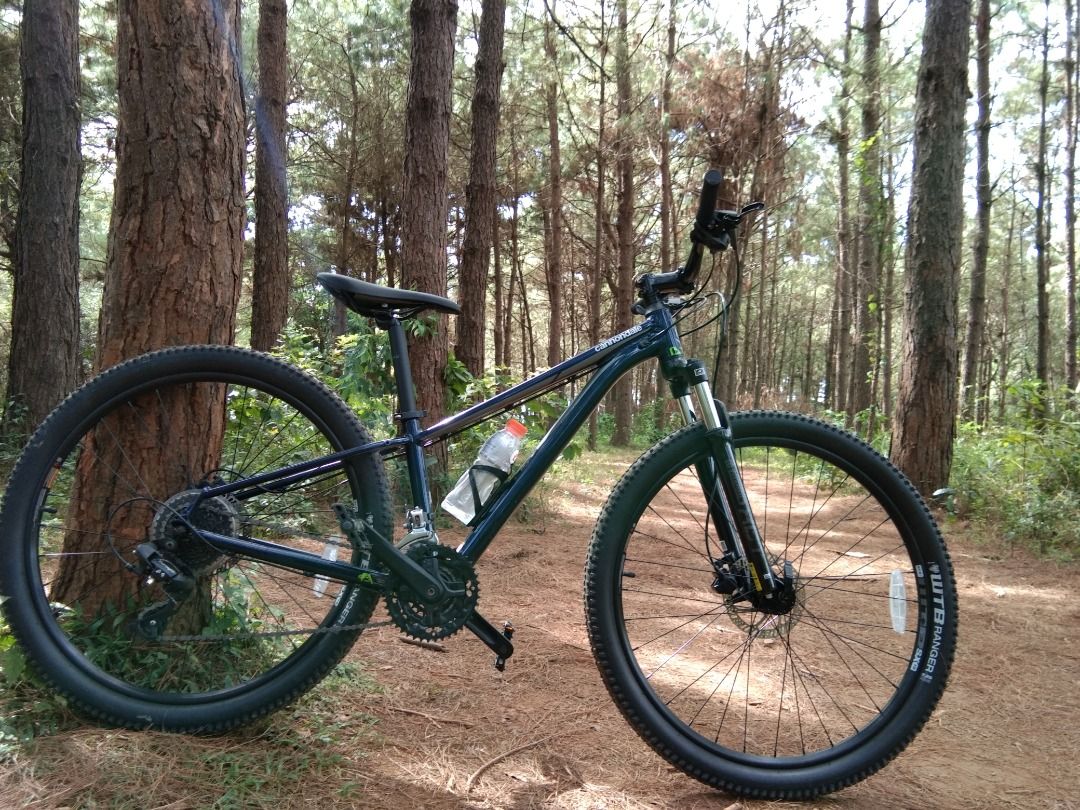 Cannondale trail outlet 7 2020 review