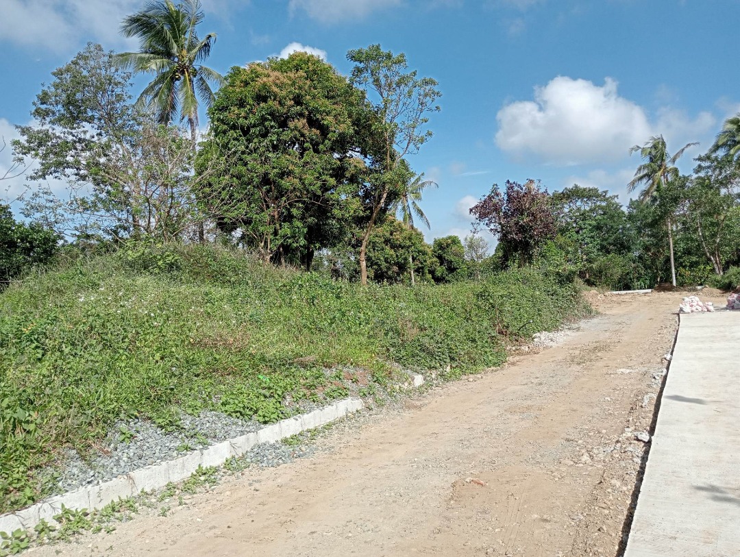 Residential Farm lot 800 meters away from Tagaytay Nasugbu road