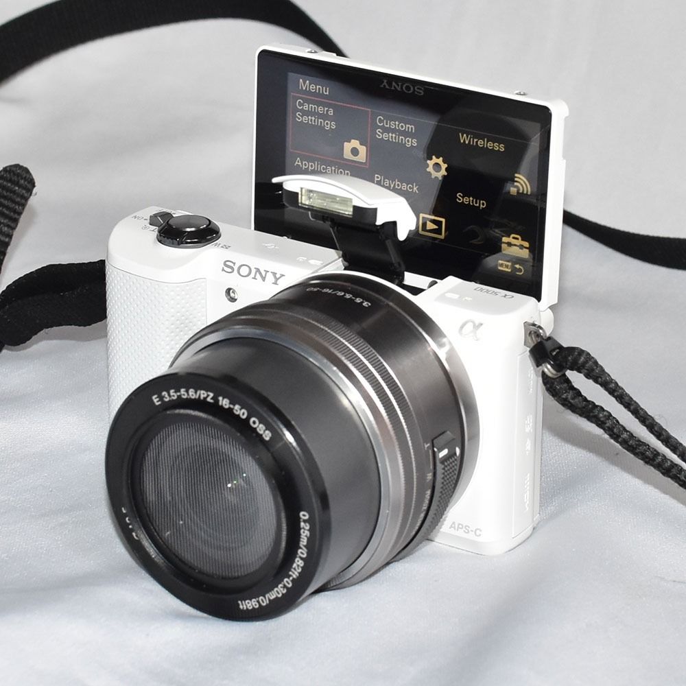 Sony mirrorless A5000 with 1650mm AF OSS lens (with Sony camera bag