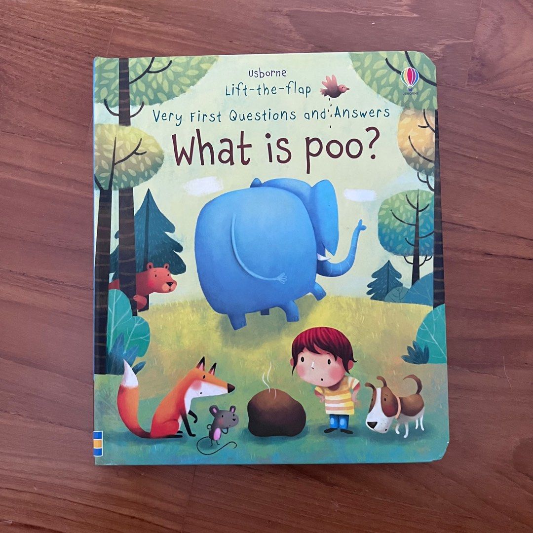 Usborne lift the flap book - What Is Poo?, Hobbies & Toys, Books ...