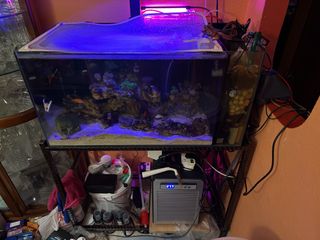 (Category: ) located in . Submitted by soloxholic (Listing ID 1229233890, Image 1). Description: .