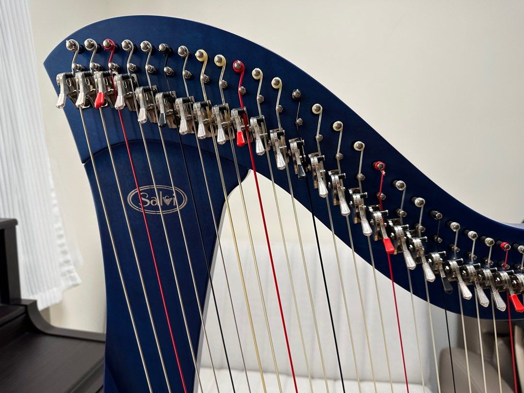 Salvi Gaia Harp Carousell