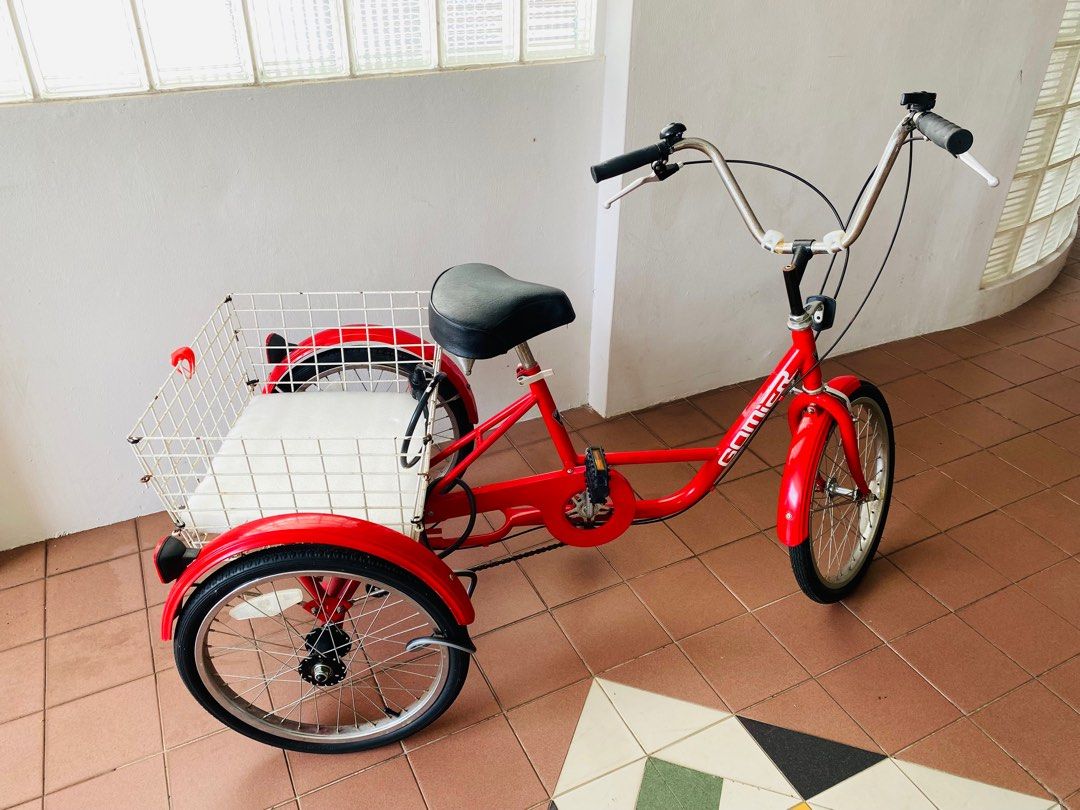 Adult Trike / Tricycle Gomier 5 Speed, Sports Equipment, Bicycles