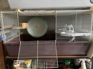 (Category: ) located in . Submitted by terence7737 (Listing ID 1229101235, Image 1). Description: .