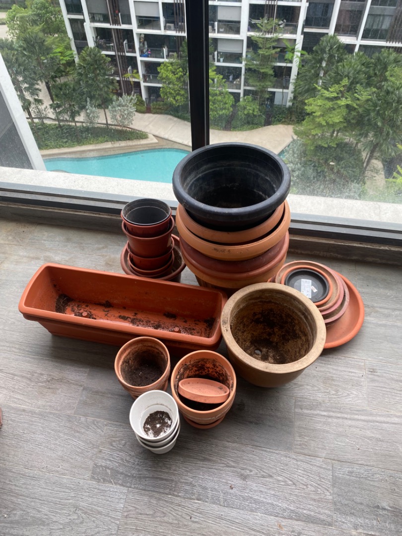 Assorted Plant Pots, Furniture & Home Living, Gardening, Pots