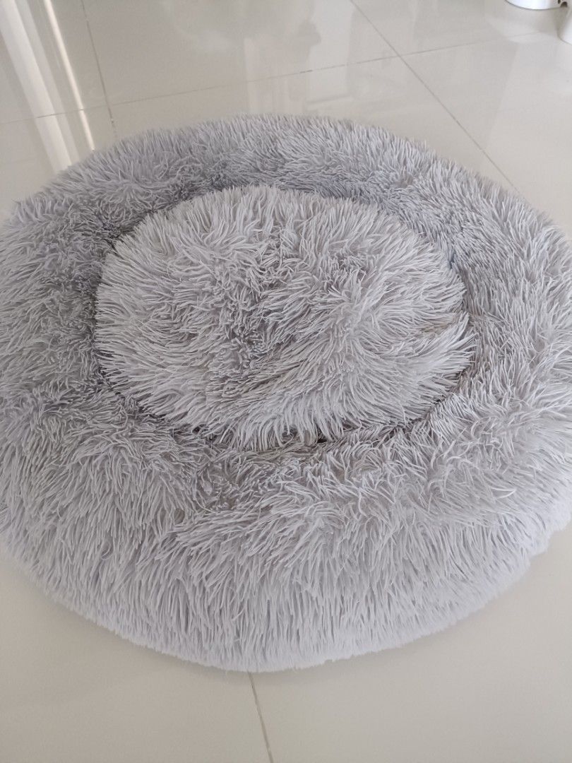 Brooklyn Pet Bed, Pet Supplies, Homes & Other Pet Accessories on Carousell