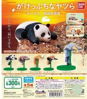 （分類：）位於 。 由 thx_gifting 提交（商品編號 1229211148，圖片 1）。簡介： 。