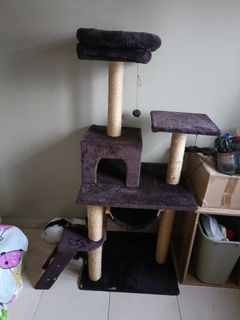 (Category: ) located in . Submitted by growrich78q (Listing ID 1229111223, Image 1). Description: .