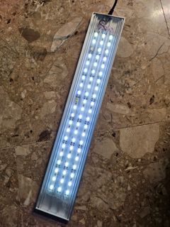 (Category: ) located in . Submitted by plantedbydan (Listing ID 1229128138, Image 1). Description: .