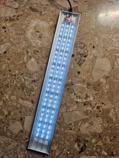 (Category: ) located in . Submitted by plantedbydan (Listing ID 1229130844, Image 1). Description: .