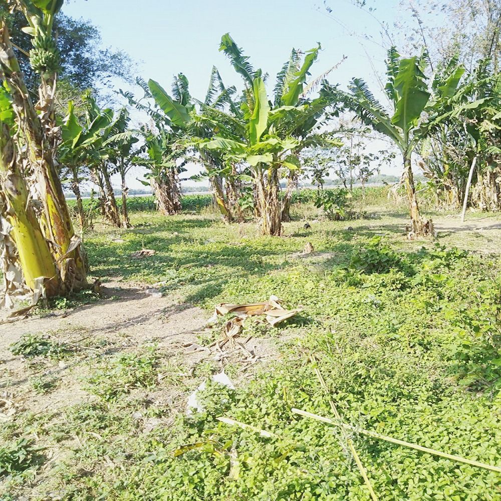 dijual_murah_rumah__tanah_1530_1682733243_41e6f63d_progressive