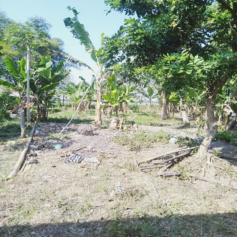 dijual_murah_rumah__tanah_1530_1682733243_7cebd33f_progressive