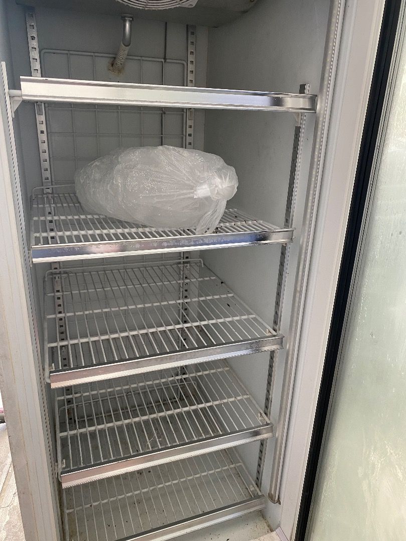 Display Stand Freezer (Ruey Shing), Furniture & Home Living, Bathroom