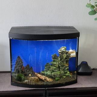 (Category: ) located in . Submitted by zoobiscuit (Listing ID 1229107048, Image 1). Description: .