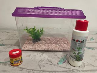 (Category: ) located in . Submitted by lossie8080 (Listing ID 1229138768, Image 1). Description: .