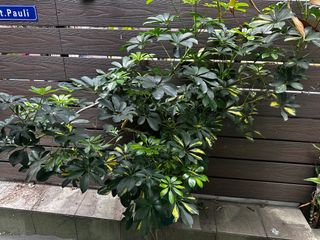 （分類：）位於 。 由 toother19 提交（商品編號 1229114202，圖片 1）。簡介： 。