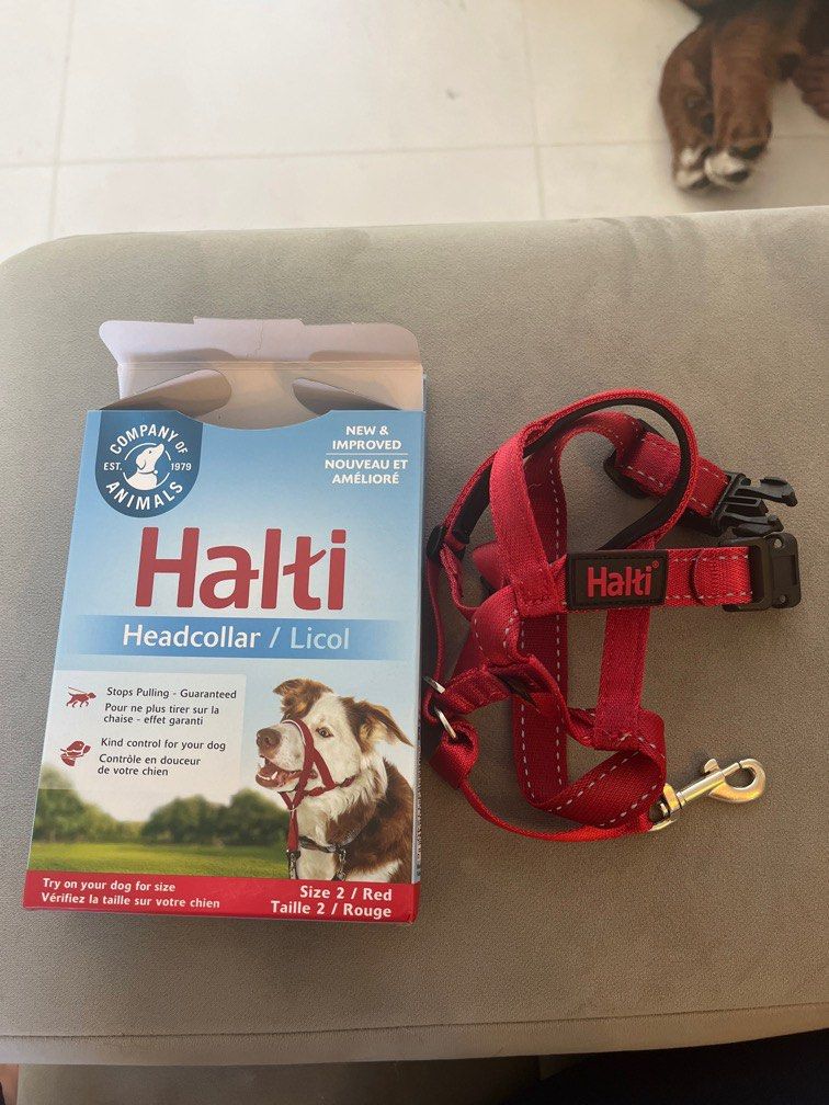 Halti Headcollar, Pet Supplies, Homes & Other Pet Accessories on Carousell
