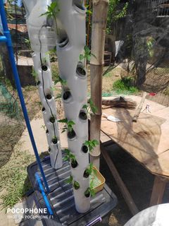 Hydroponic tower for small spaces