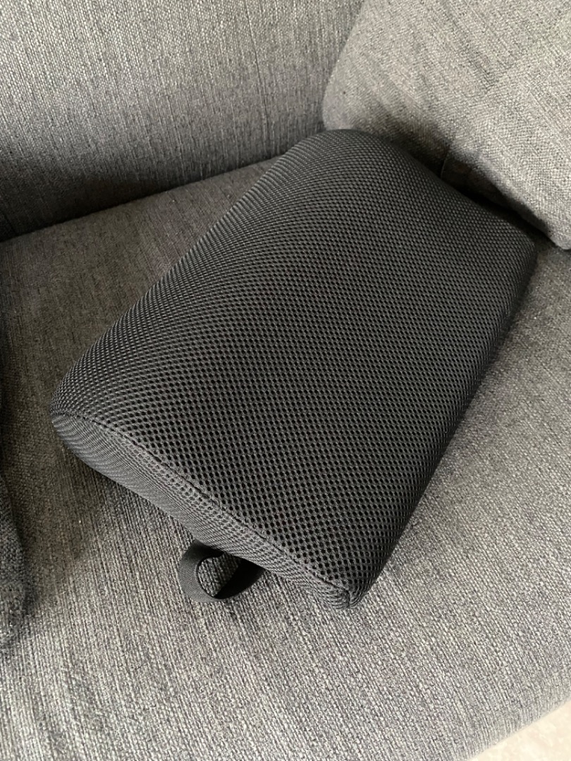 IKEA BORTBERG Lumbar cushion, Furniture & Home Living, Home Decor, Cushions & Throws on Carousell