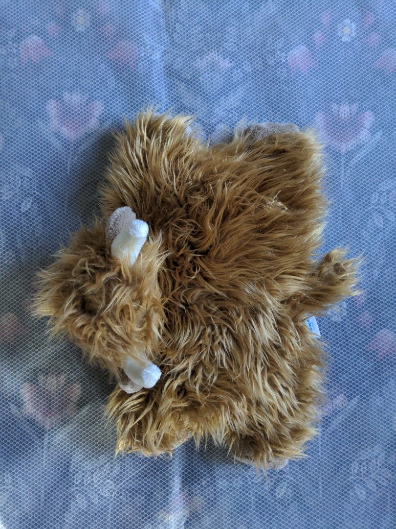 Jellycat Soft Toy Truffles Highland Cow Medium, Hobbies & Toys, Toys & Games on Carousell