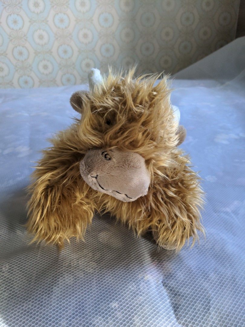 Jellycat Soft Toy Truffles Highland Cow Medium, Hobbies & Toys, Toys & Games on Carousell
