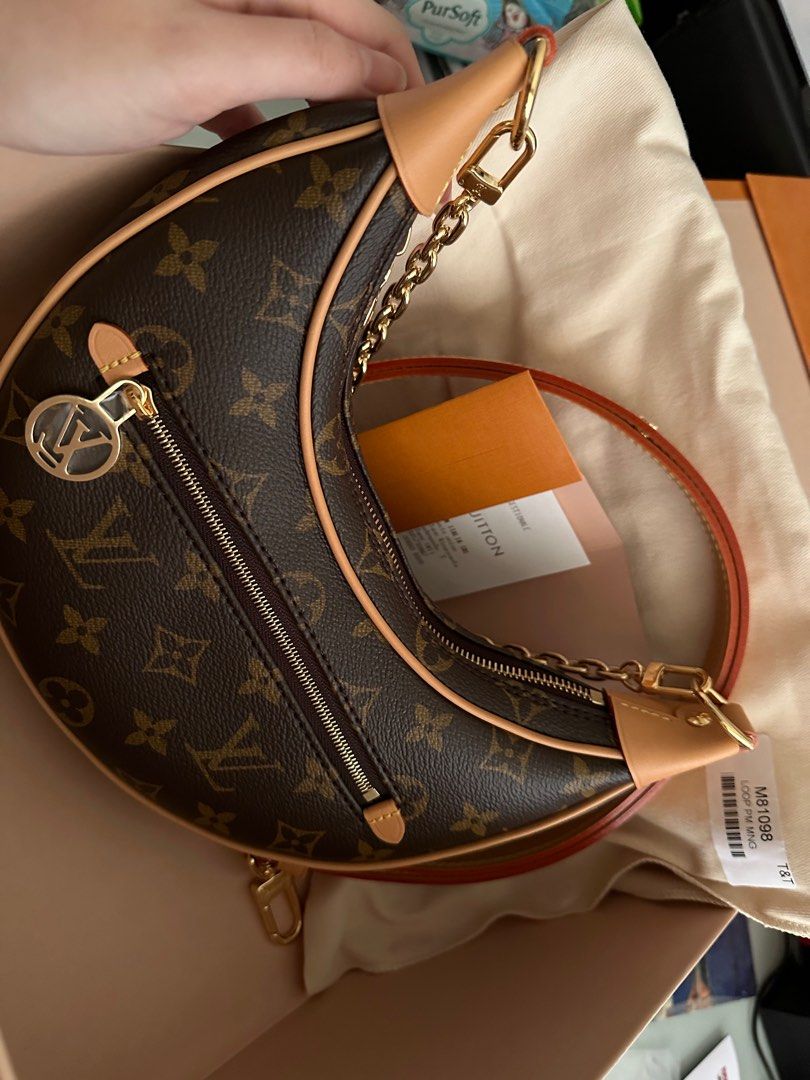 Louis Vuitton LOOP BAG in 2023  Louis vuitton, Brown handbag, Bags