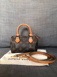 The lv nano speedy fits everything i need + room!for all the mini