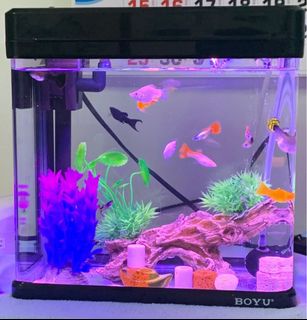 (Category: ) located in . Submitted by daphne_aun (Listing ID 1229124865, Image 1). Description: .