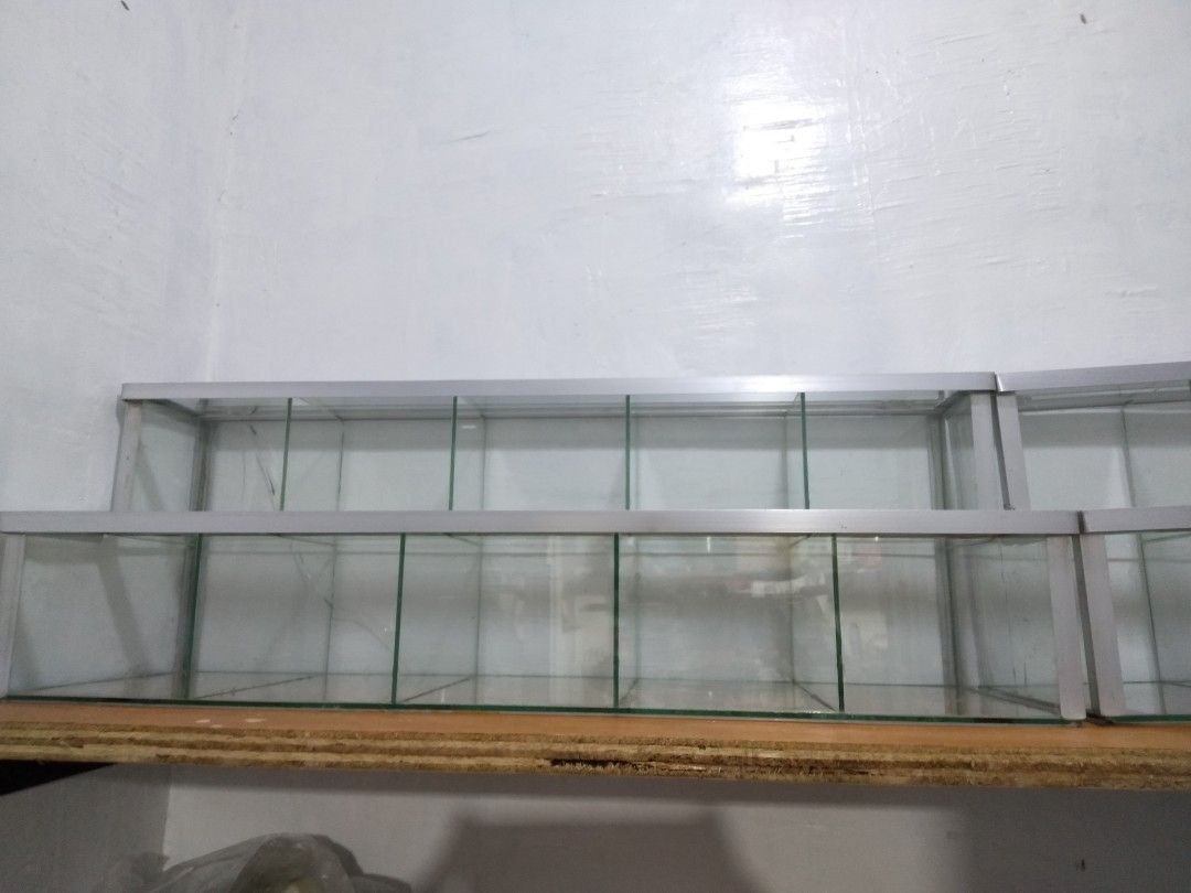 Sarisari Store Glass Display Case, Furniture & Home Living, Furniture, Shelves,
