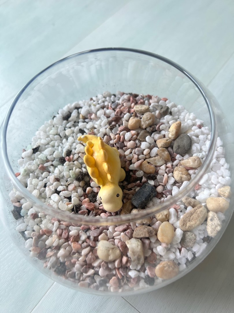 Terrarium setup, Furniture & Home Living, Gardening, Plants & Seeds on ...