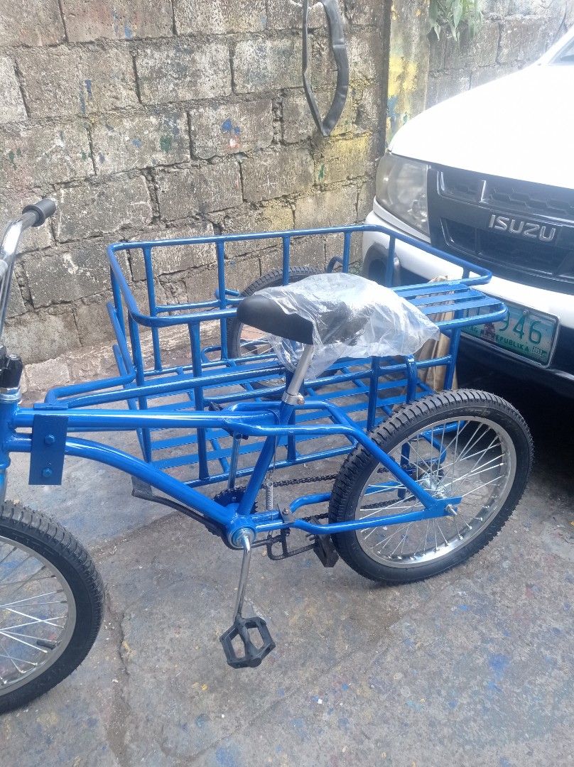 Tri bike with on sale sidecar