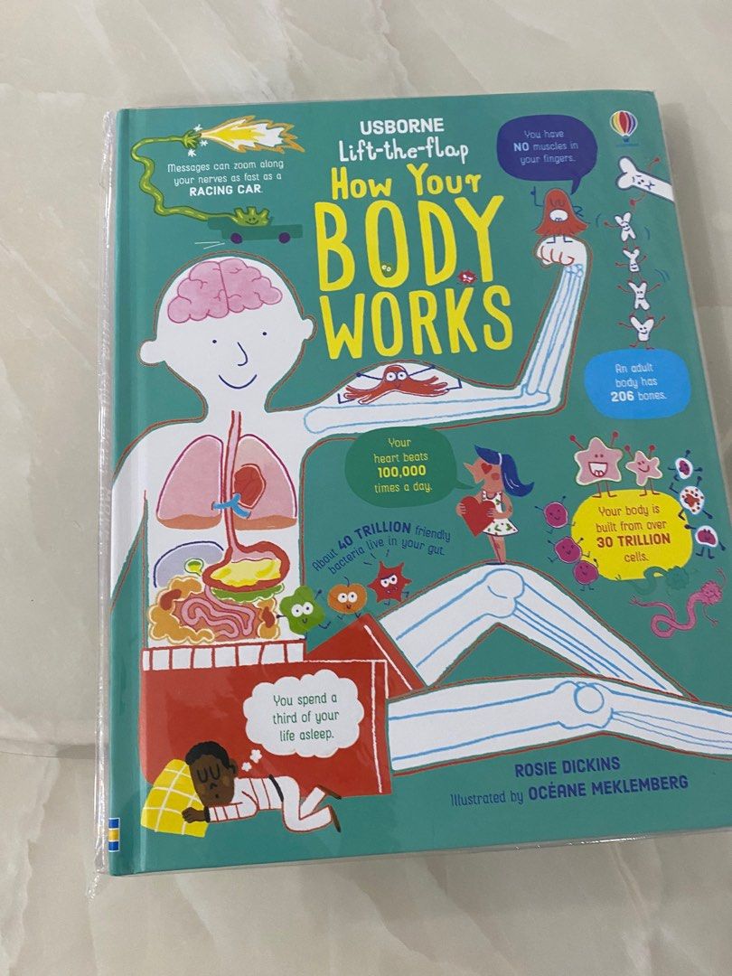 Usborne How your body works (Lift the flap), Hobbies & Toys, Books & Magazines, Children's Books