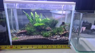 (Category: ) located in . Submitted by yqfalk (Listing ID 1227954980, Image 1). Description: .