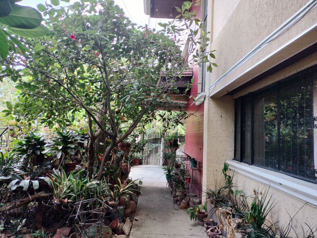 RUSH SALE Highend Residential Lot for Sale in Tierra Pura Homes