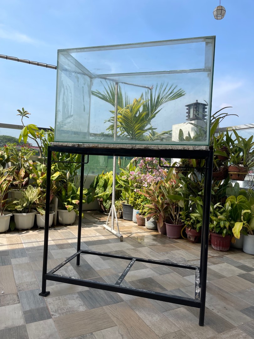 50 gallons Aquarium with stand on Carousell