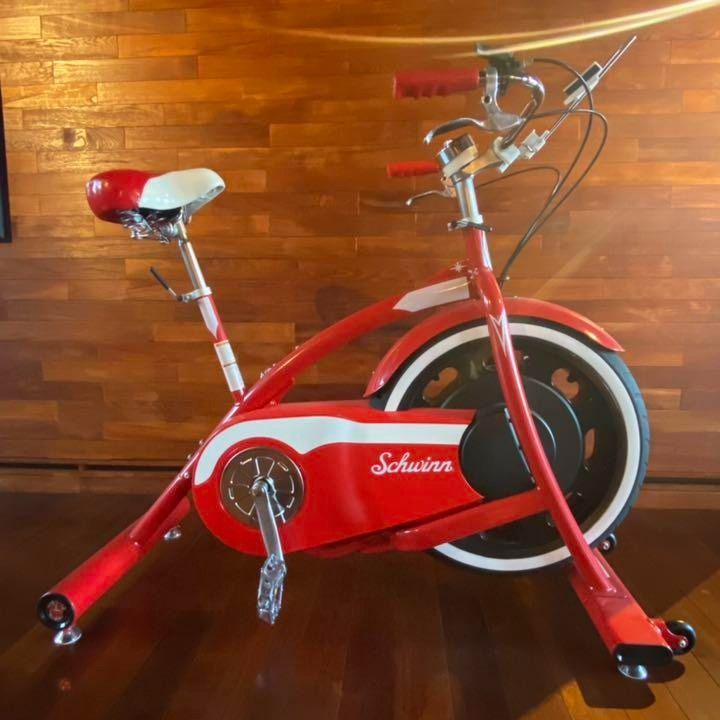 Schwinn classic cruiser exercise bike online