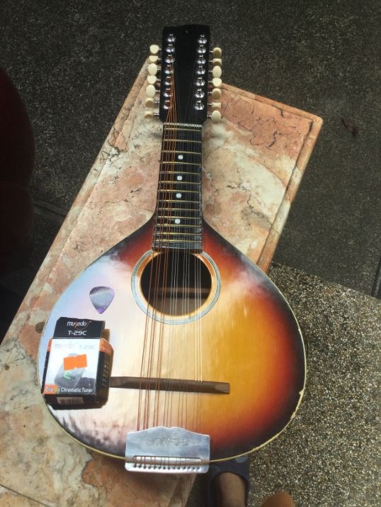 Bandurria with Clip on Chromatic Tuner, Hobbies & Toys, Music & Media