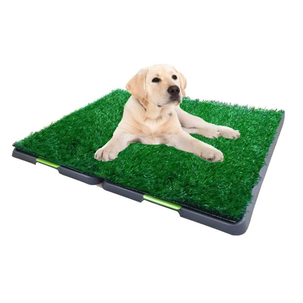 Portable dog hotsell potty grass