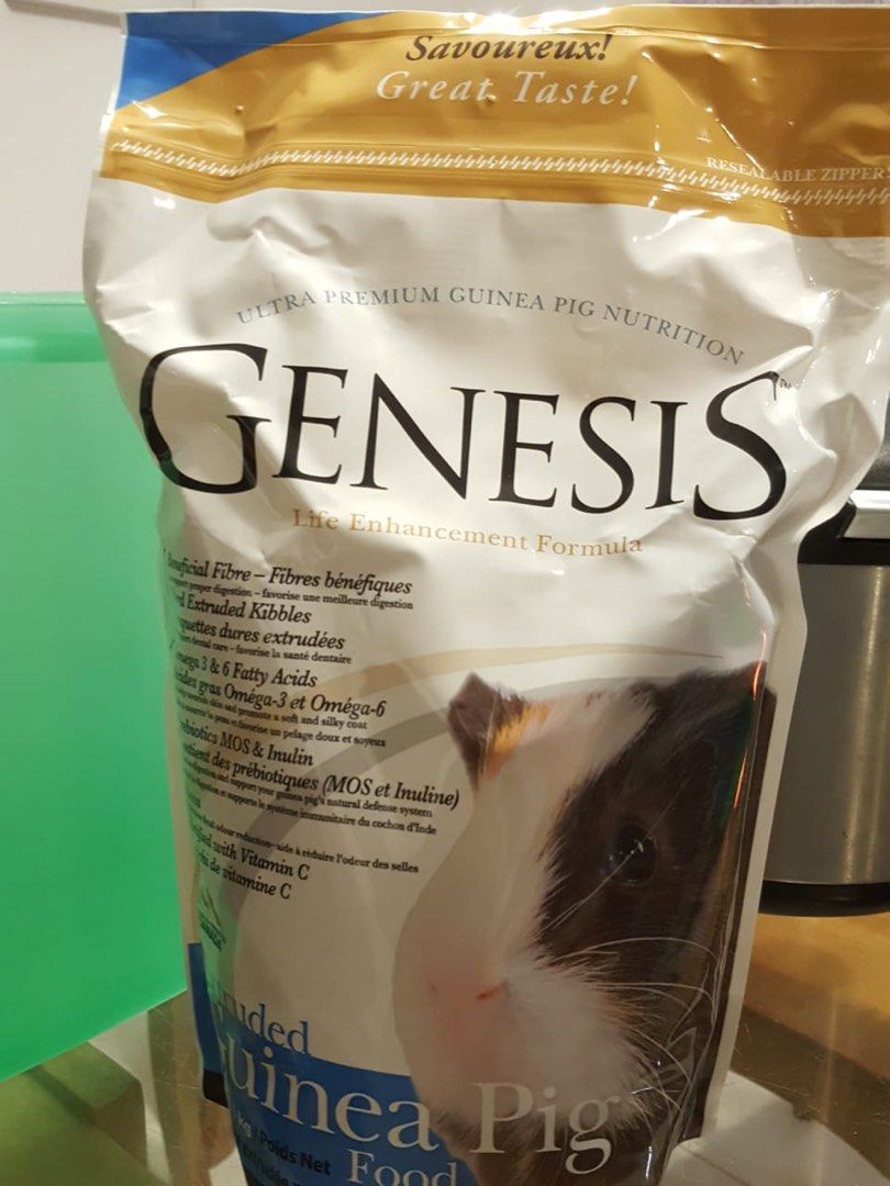 Genesis outlet guinea pig