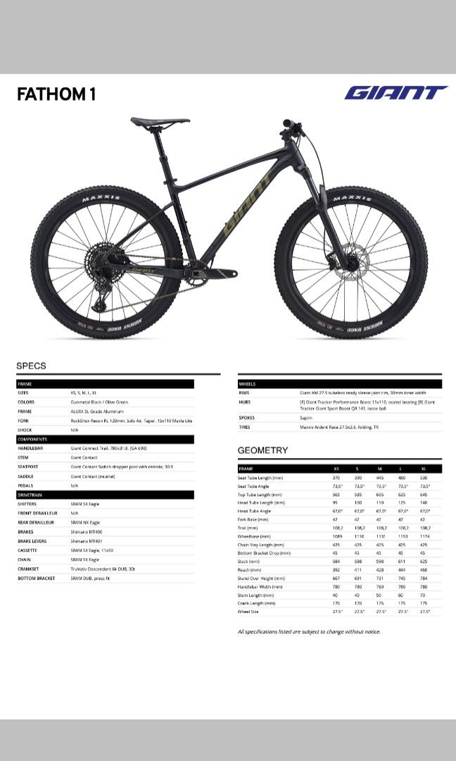 2020 giant discount fathom