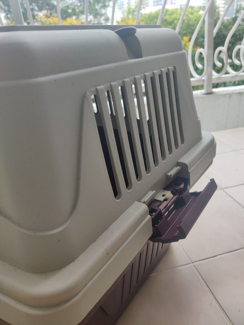 IATA Approved Pet Carrier, Pet Supplies, Homes & Other Pet Accessories