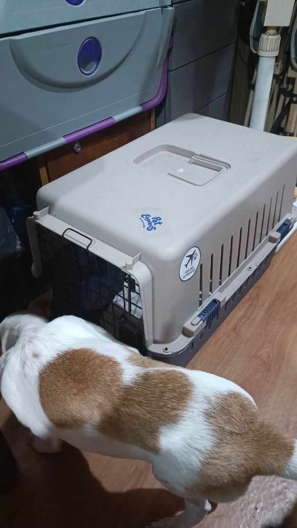 Kennel Pro Airport Pet Carrier Cage Medium Navy Blue KN307 61x40x39cm