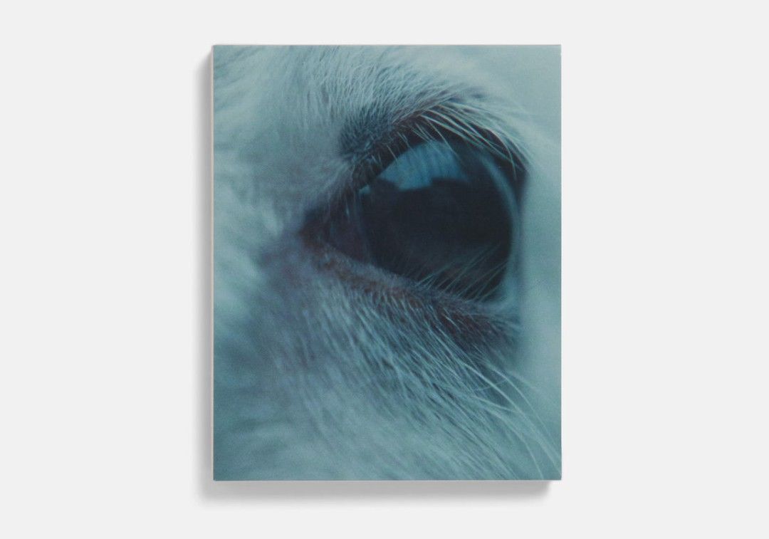 Lamb 4K UHD Bluray (A24 Films), Hobbies & Toys, Music & Media, CDs