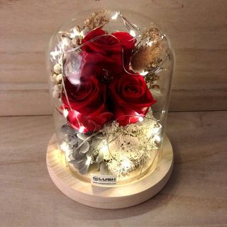 (Category: ) located in . Submitted by minishu (Listing ID 1224456150, Image 1). Description: .